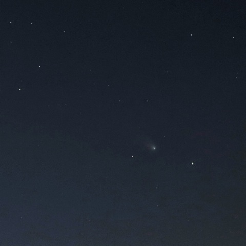 レナード彗星(C/2021A1)