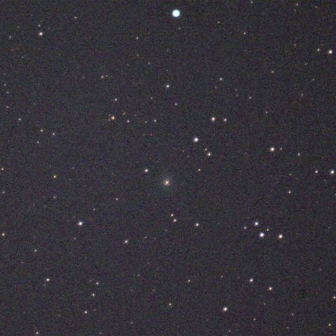 ボレリー彗星(19P)