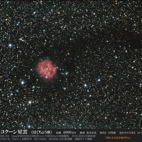 IC.5146　コクーン星雲
