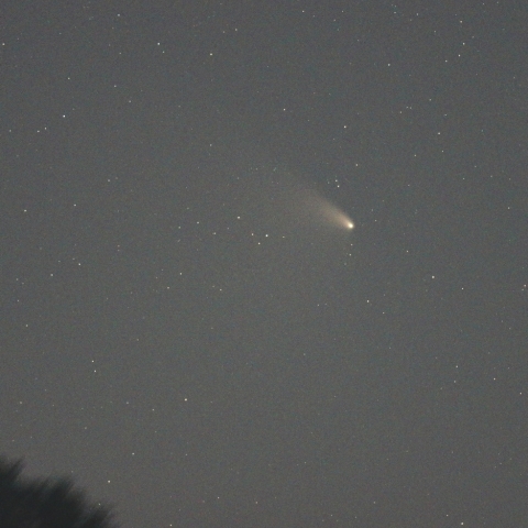4月5日朝のパンスターズ彗星