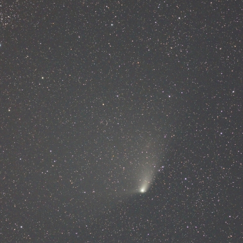 4月22日のパンスターズ彗星