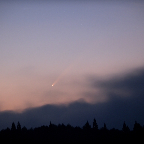 紫金山・アトラス彗星 (C/2023 A3)