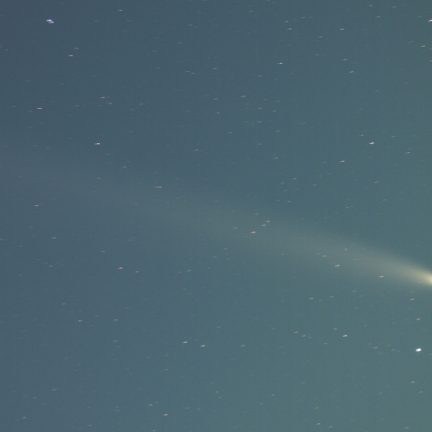 紫金山・アトラス彗星 (C/2023 A3)