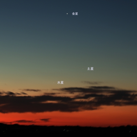 東天での水星・金星・土星の接近 (2025/04/16)