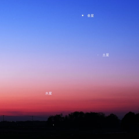 東天での水星・金星・土星の接近 (2025/04/22)