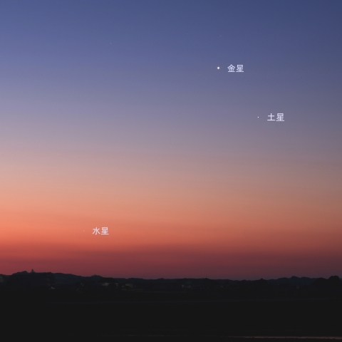 東天での水星・金星・土星の接近 (2025/04/27)