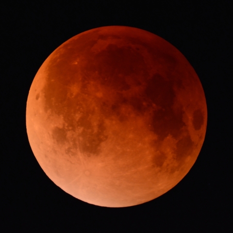 皆既月食 (2025/09/08)