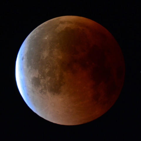 ターコイズフリンジ (2025/09/08)