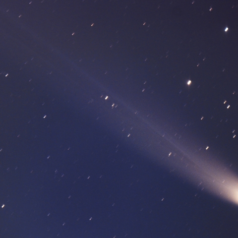 レモン彗星 C/2025 A6 (Lemmon) (2025/11/01)