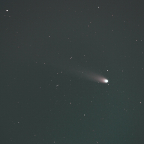 レモン彗星 C/2025 A6 (Lemmon) (2025/11/10)