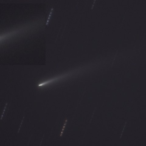 アトラス彗星 C/2025 K1 (ATLAS) (2025/11/20)