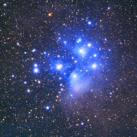 プレアデス星団 (M45) (2025/12/19)