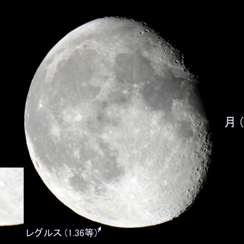 レグルスの食 (明縁潜入)(月齢17.6) 2026/01/07