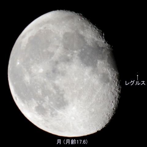 レグルス食 (暗縁出現)(月齢17.6) 2026/01/07