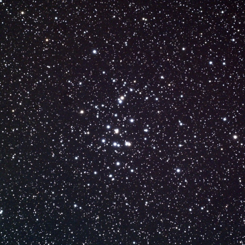 プレセペ星団 (M44) 2026/02/13