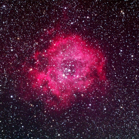 ばら星雲 (NGC2237) (2026/02/15)