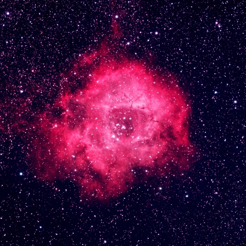 バラ星雲 (NGC2237) (2026/02/15他2夜)