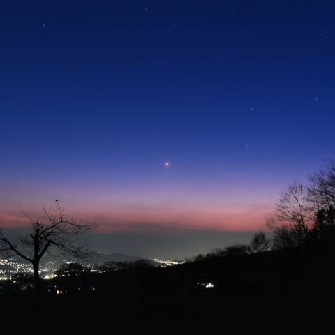 夕空の金星 (光度−3.9等) (2026/04/03)