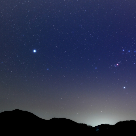 西に傾いたオリオン・大犬 (2026/04/21)