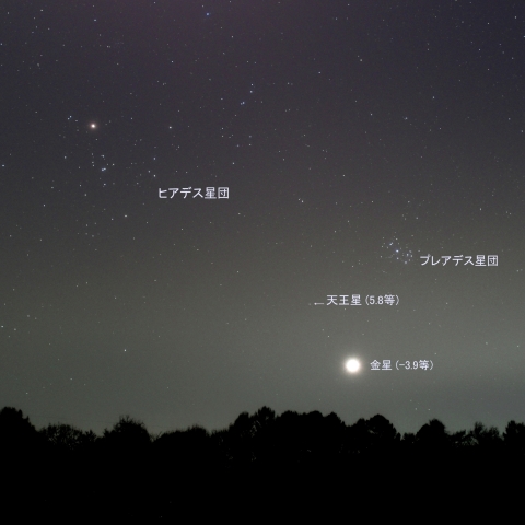 西空のヒアデス・プレアデス星団と金星(-3.9等)・天王星(5.8等) (2026/04/21)