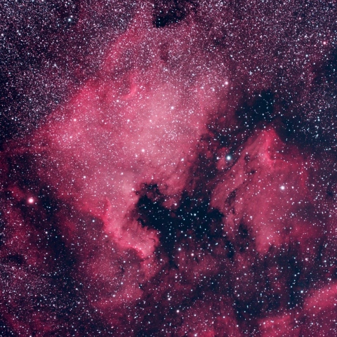 北アメリカ星雲(NGC7000)とペリカン星雲(IC5067) (2026/05/16他)