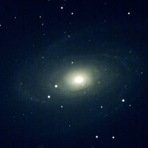 M81