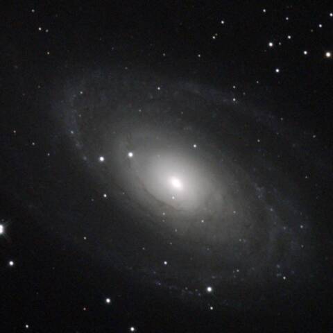 M81