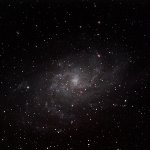 M33