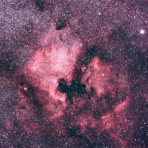 北アメリカ星雲とペリカン星雲