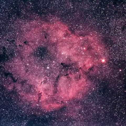 ガーネットスター付近の散光星雲