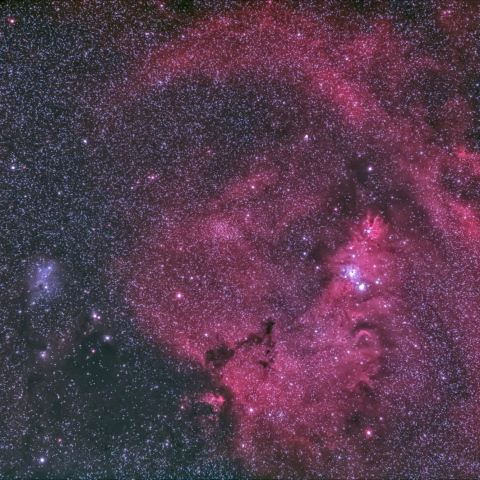 クリスマスツリー星団 コーン星雲 カタツムリ星雲