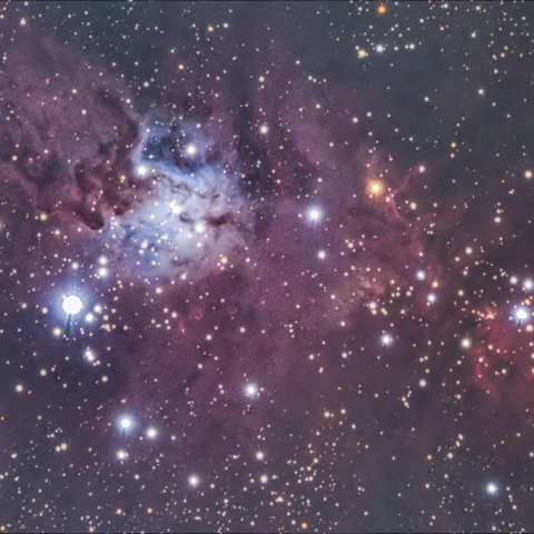 キツネの毛皮星雲