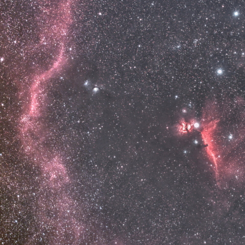 馬頭星雲からバーナードループ