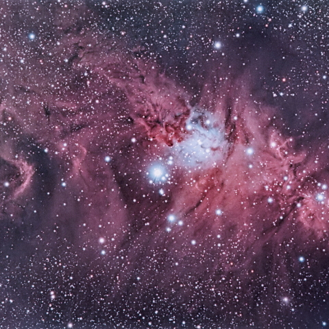 クリスマスツリー星団