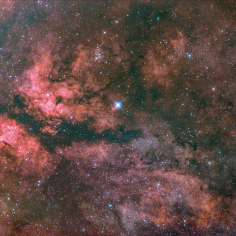 白鳥座サドル周辺の散光星雲