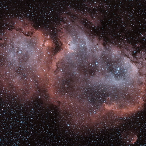 IC1848　胎児星雲