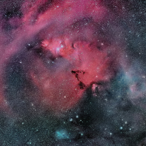 クリスマスツリー星団付近