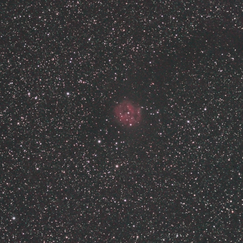 はくちょう座 IC5146 まゆ星雲