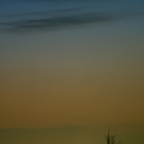 東京世田谷のパンスターズ彗星