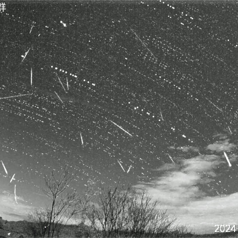 2024年 しし座流星群(11/19早朝 1~5時)