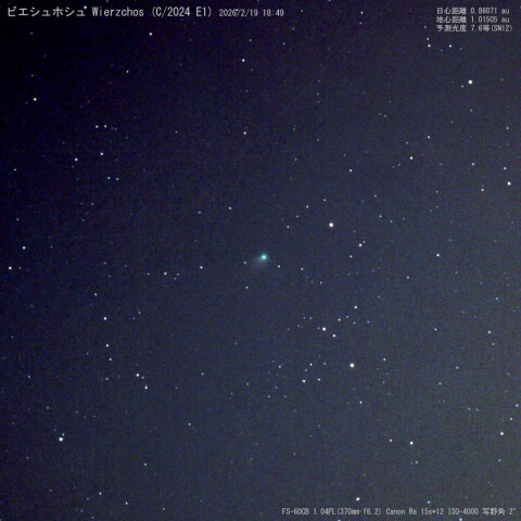 2/19 ビエシュホシュ彗星 Wierzchos (C/2024 E1)