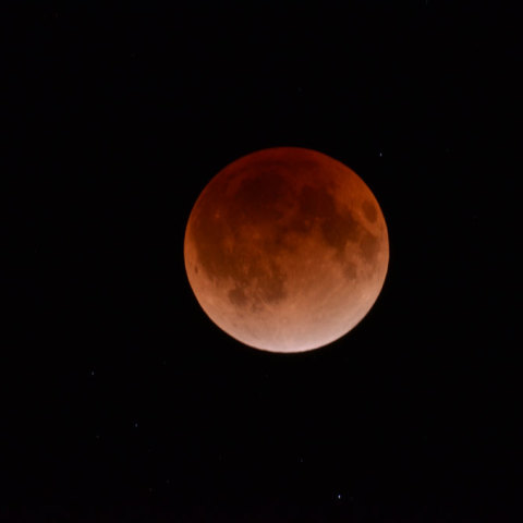 ２０１１皆既月食