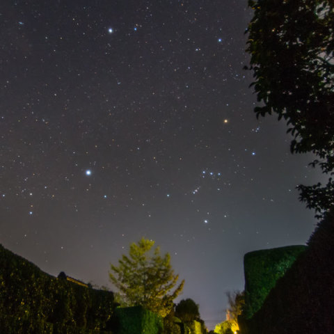 鹿児島県知覧武家屋敷に沈むオリオン