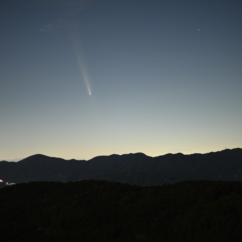 紫金山・アトラス彗星　