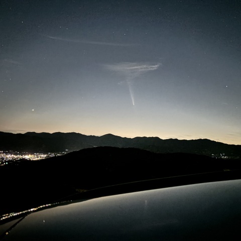 紫金山・アトラス彗星　