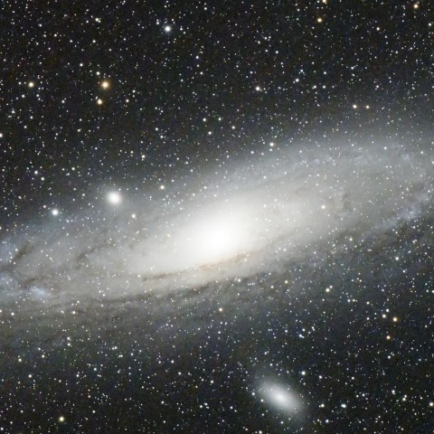 M31