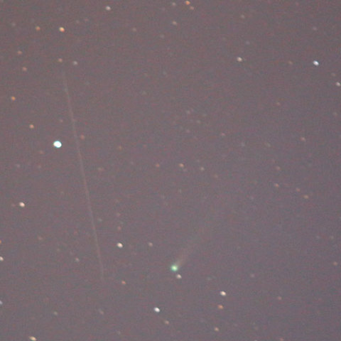 ラブジョイ彗星とふたご座流星　知多半島で