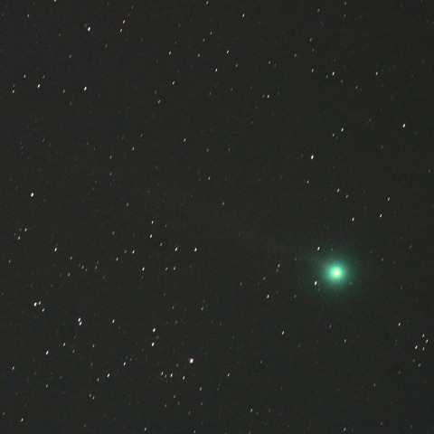 1/3　ラブジョイ彗星