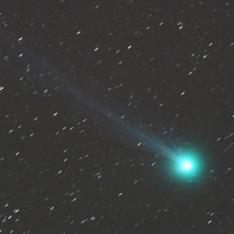 １／１３　Lovejoy C/2014Q2