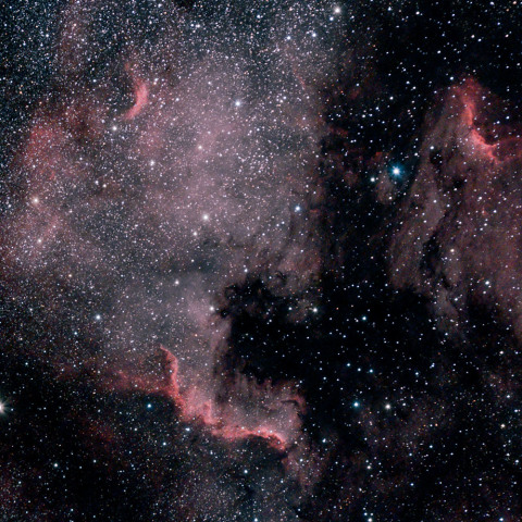 NGC7000